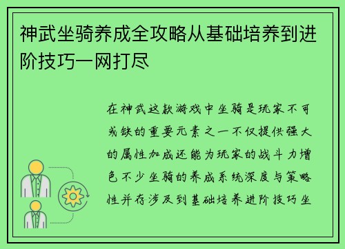 神武坐骑养成全攻略从基础培养到进阶技巧一网打尽