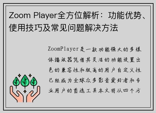 Zoom Player全方位解析：功能优势、使用技巧及常见问题解决方法